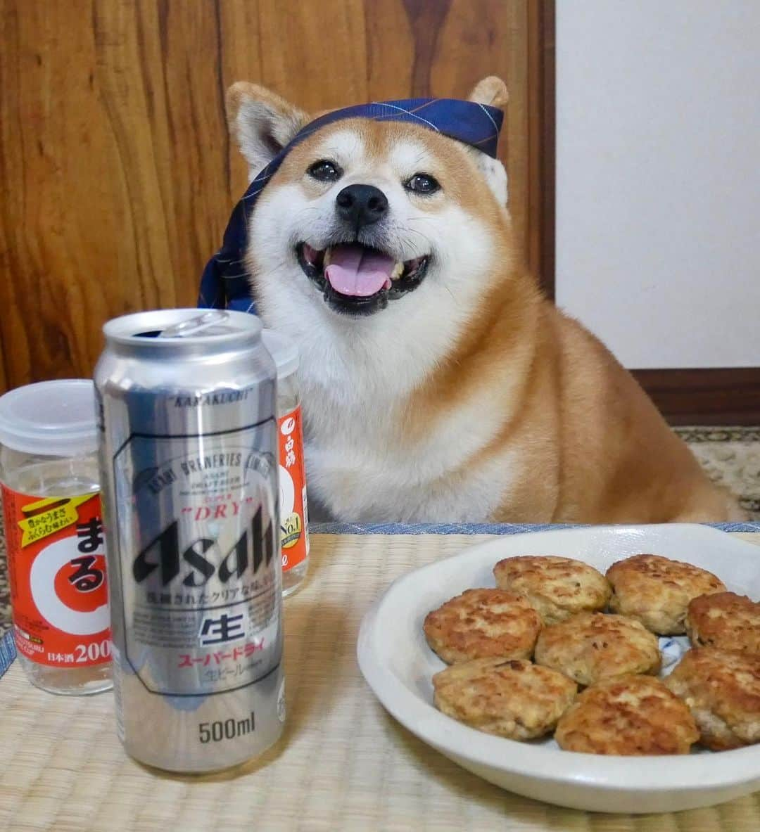 shibainu berryさんのインスタグラム写真 - (shibainu berryInstagram)「🐻I’ll start off with a beer🍺Cheers🍻 🐻お疲れ〜🍺 最後、食べてる動画です✨ おやじのマイ机は段ボール📦😂 ・ 今日はつくねで一杯🍻 つくねやけど豚ひき肉の方が食い付きいいから豚ひき肉で😋お豆腐も入れてヘルシーにしてるよ❗️卵も入れて混ぜたら胡麻油で蒸し焼き☺️絶対美味しー😆 むくみは食に対してあんまり欲がないからこんなに美味しいの作ってもなかなか食べに来ない😦 #❤️迷子犬の掲示板スタッフ @maigo_dog  #❤️迷子犬の掲示板四国 @maigo_dog_shikoku #めざせ迷子犬ゼロ👌 #柴犬 #べりやん #べりむく #多頭飼い #berry #shiba #shibainu  #shibainumania #shibastagram #instashiba #ぷにっと部 #口角キュキュッと部  #チーム俺様 →部員絶賛募集中 #shiba_snap #proudshibas #west_dog_japan #サンデイ #instagramjapan #ふわもこ部 #pecoいぬ部 #pecotv #buzzfeedanimals #dogsofinstagram #dogsofinstaworld #dogs_of_instagram #9gag」8月30日 19時25分 - shibainu.berry