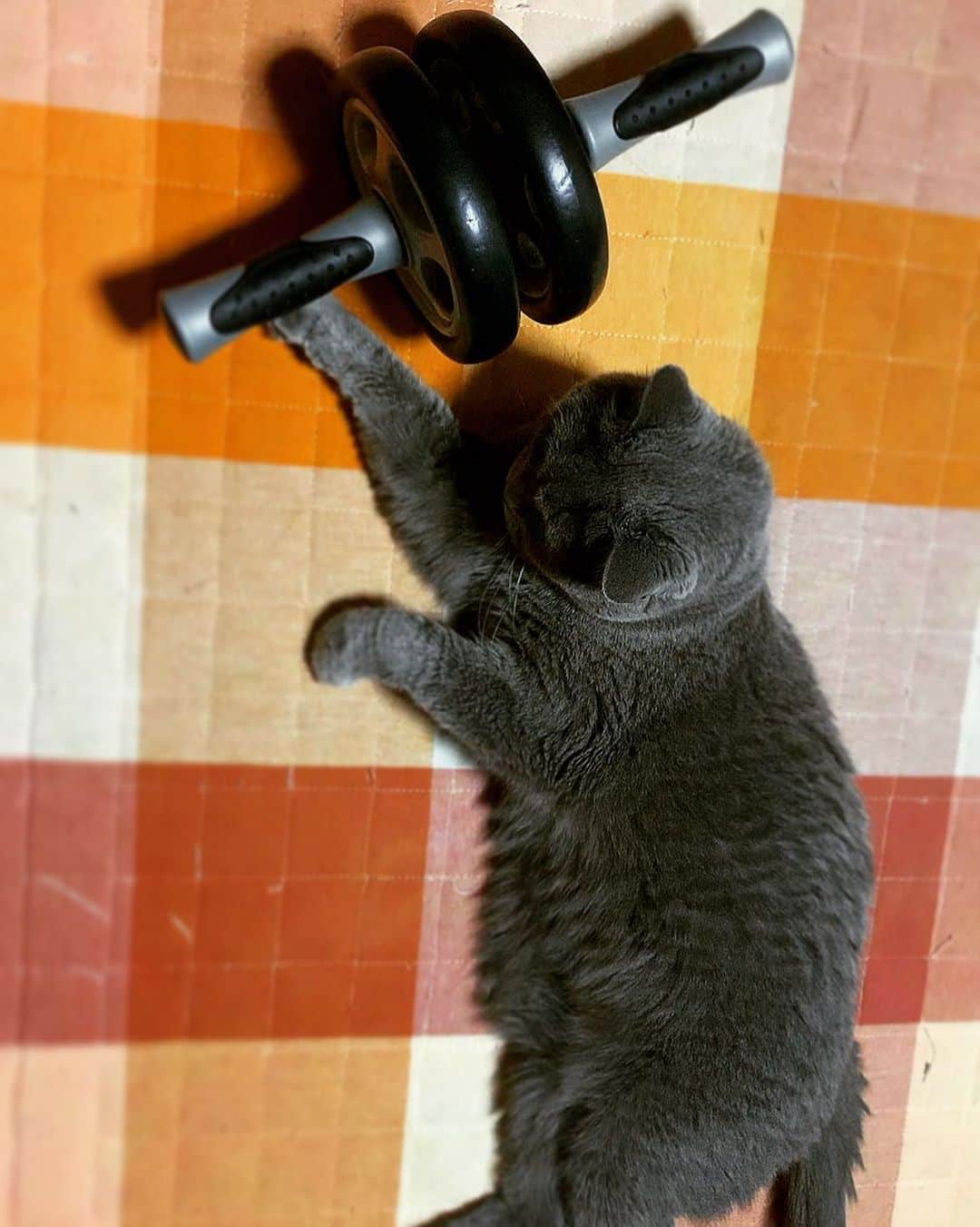 チキン南蛮カレーのルウ王子のグルメインスタ