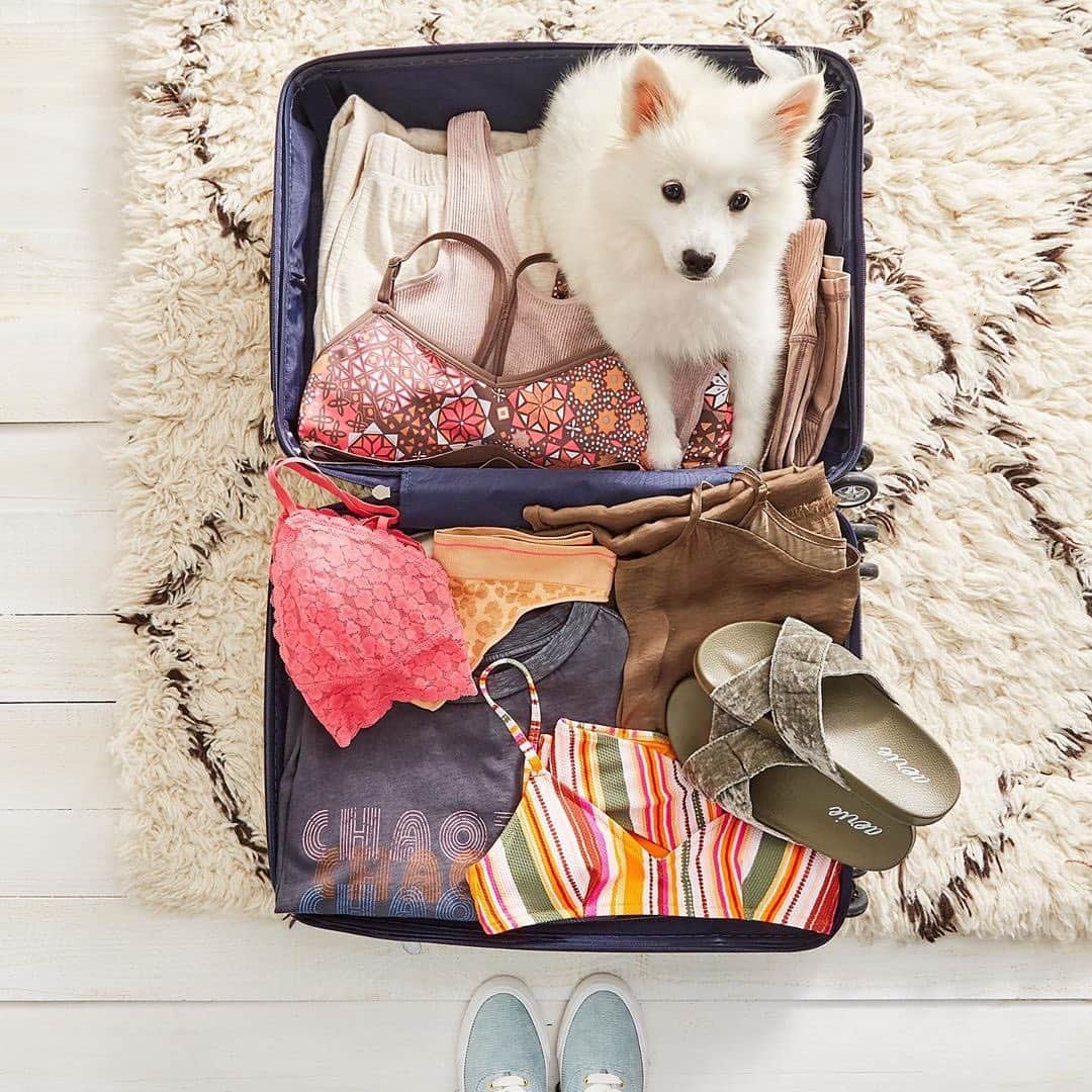 Aerie Japanのインスタグラム：「* Aerieと一緒にどこに旅しよう？ Have a happy weekend♡ * #aeriejp #エアリー #ブラレット #ブラ #ブラトップ #アンディー #旅行 #ショートトリップ #dog #Trip #Journey」