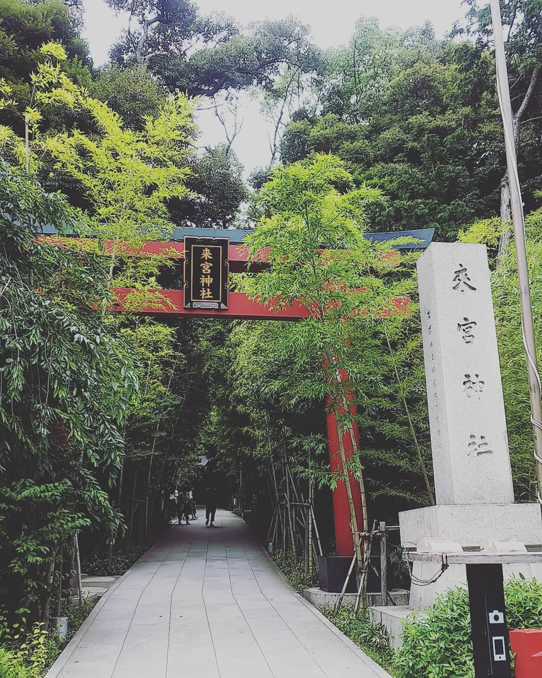 三宅裕子さんのインスタグラム写真 - (三宅裕子Instagram)「#来宮神社  ずーっと #参拝したかった神社 のひとつです。 先月ようやく行くことができました♡ 1日中いられるなぁってくらい良かったです。  平日だったけれど賑わってました✨  本殿の前にはハートの形に落ち葉が飾ってあって可愛いかったです☺  #来宮神社 #きのみやじんじゃ #龍神 #パワースポット #powerspot #神社好きな人と繋がりたい #熱海 #atami」8月30日 19時57分 - yuko_miyake