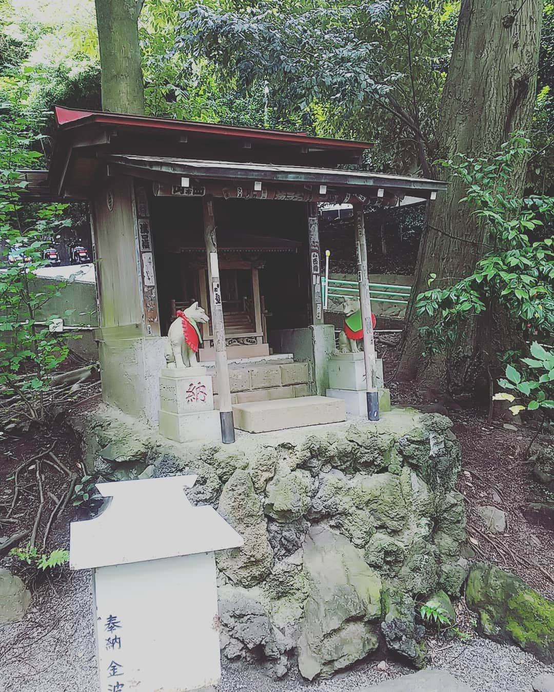 三宅裕子さんのインスタグラム写真 - (三宅裕子Instagram)「#来宮神社  ずーっと #参拝したかった神社 のひとつです。 先月ようやく行くことができました♡ 1日中いられるなぁってくらい良かったです。  平日だったけれど賑わってました✨  本殿の前にはハートの形に落ち葉が飾ってあって可愛いかったです☺  #来宮神社 #きのみやじんじゃ #龍神 #パワースポット #powerspot #神社好きな人と繋がりたい #熱海 #atami」8月30日 19時57分 - yuko_miyake