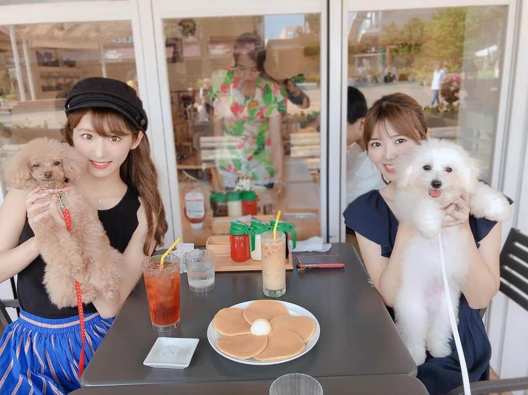 阿比留李帆のインスタグラム：「先日初めましてのラテさん🐶💕 4ヶ月だからまだまだ動きが赤ちゃんで ほんっとに癒された😭🍼 テラスでcafeしてたら店員さんが すてきな写真を撮ってくれたよ♡」