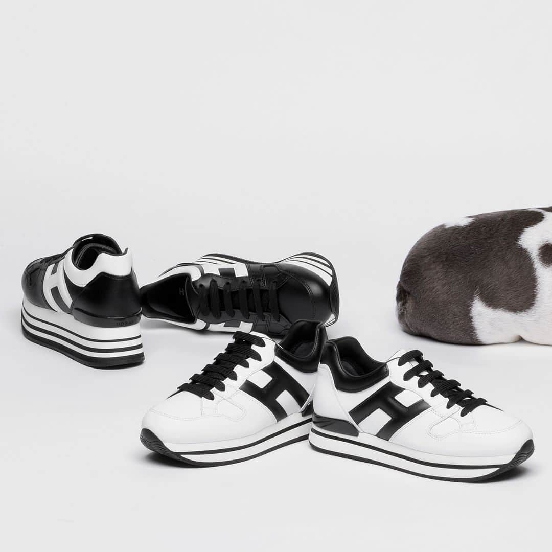 のインスタグラム：「It's a hard dog's life with the #HOGAN women's #AW1920 #H222 and #H222 #sneakers Shop #HoganSneakers on HOGAN.COM - link in bio」
