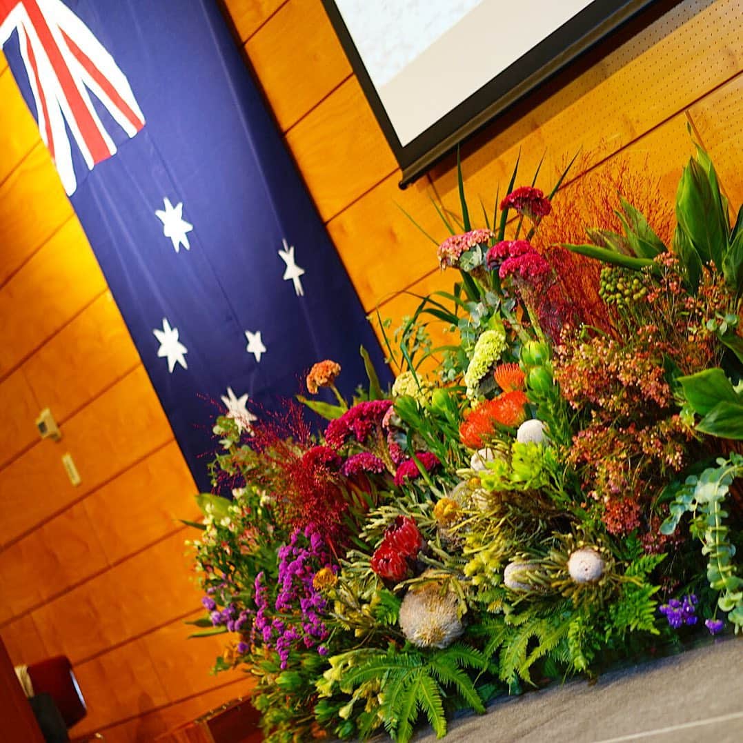 前田有紀さんのインスタグラム写真 - (前田有紀Instagram)「西オーストラリアの大自然に思いを馳せて。 今日はオーストラリア大使館「ANA パース線 新規就航記念メディアレセプション」のステージとビュッフェの装飾をguiで手がけました。  オーストラリア、中でも西オーストラリアから届いたお花を中心に。 . イベントのゲスト、パース在住のエッセイスト小島慶子さんのお話に登場する西オーストラリアの風景が美しすぎて、想像するだけで胸がいっぱいになりました。家族で訪れて、ドライブしたい！息子と透明な海でイルカを眺めたい！ユーカリの原生林で深呼吸したい！と夢の広がったひとときでした。 . とても素敵な形でご紹介くださった小島慶子さん、関係者のみなさま、本当にありがとうございました。 . #guiflower #西オーストラリア」8月30日 21時15分 - yukimaeda0117
