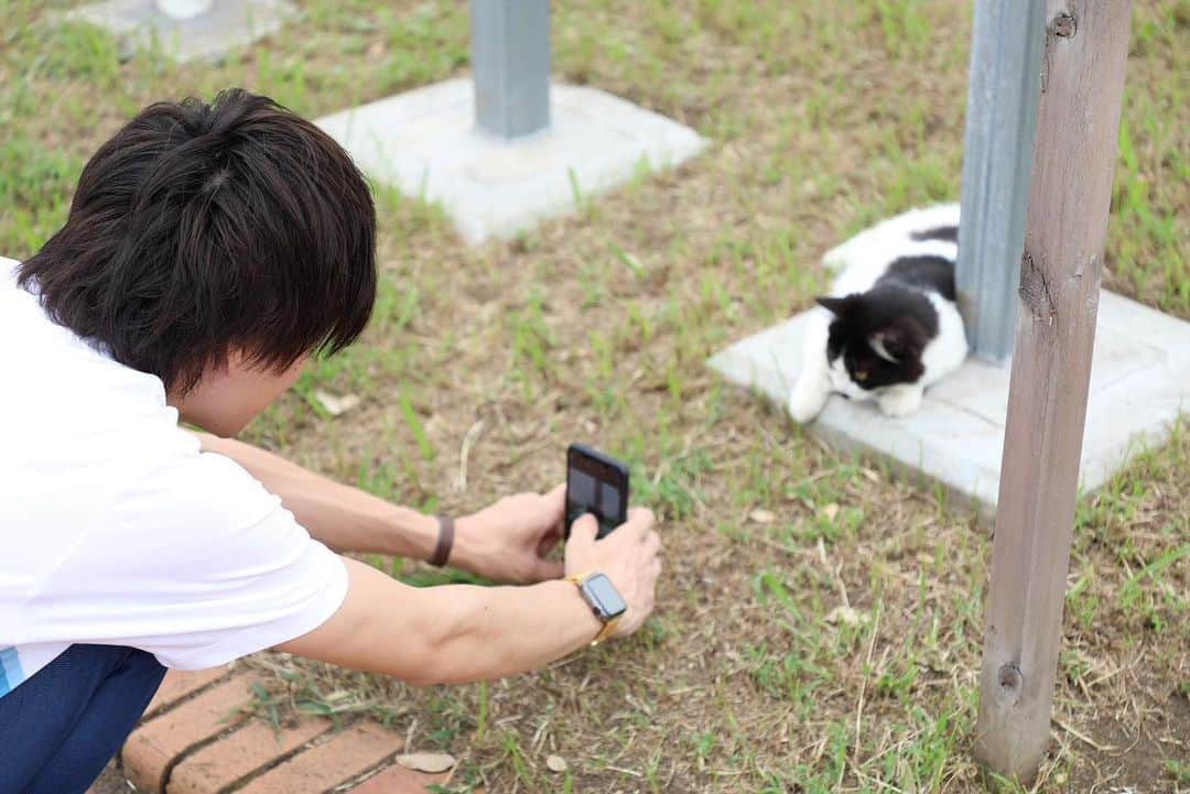 平田雄也さんのインスタグラム写真 - (平田雄也Instagram)「これが、これ。  #犬 好きだけど #猫 もいいなあ #猫パンチ されたい」8月30日 21時32分 - yuyastagram620
