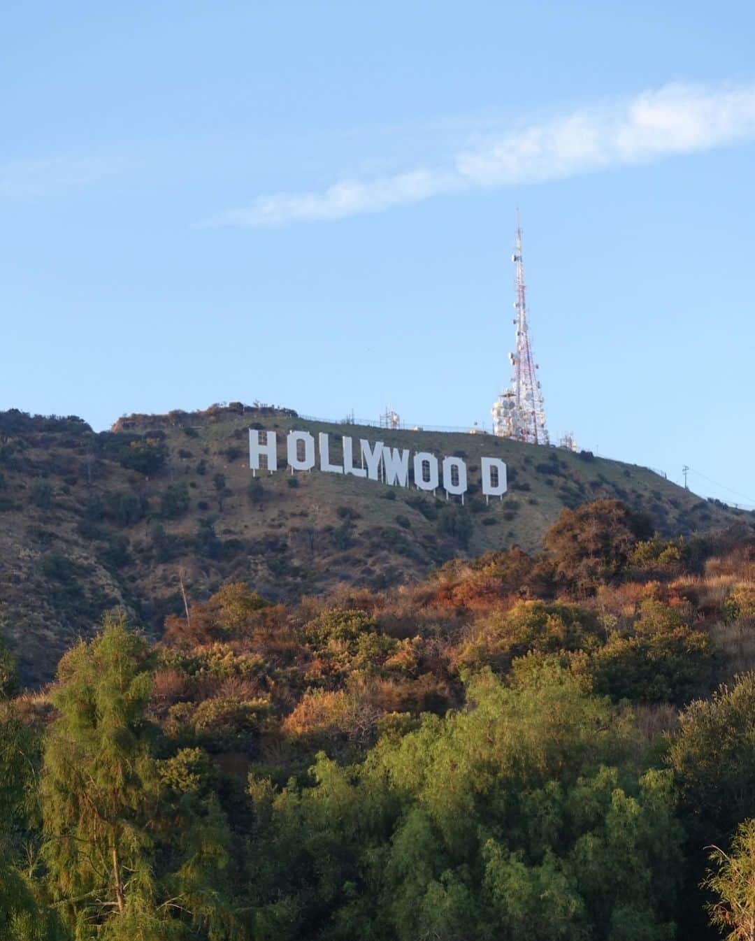 橋本真依さんのインスタグラム写真 - (橋本真依Instagram)「・﻿ Hollywood Sign﻿ やっぱり初めてのLAなら行っちゃうよね〜🇺🇸﻿ ﻿ 1回行ったことある方々には﻿ 「あんまり〜🥵」って言われる事多かったけれど﻿ 私はすごく感動したよ💗﻿ 見てよかった！！﻿ ﻿ ﻿ ﻿ ﻿ #女子力ねーさん#ロサンゼルス#ロサンゼルス旅行#タビジョ#サンタモニカ#ハリウッド#ハリウッドサイン﻿ #happy#smile#love#peace#lucky#tbt#l4l#followme#followback#instagood#photooftheday#Japan#beach#sea#swimwear#LA#Hollywood﻿#hollywoodsign」8月30日 21時39分 - hashimotomai430