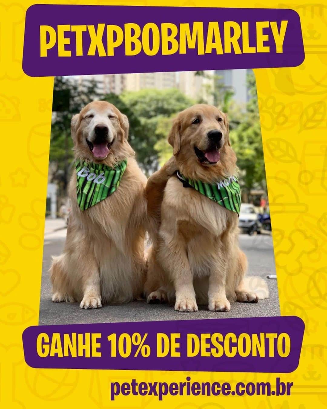 Bobさんのインスタグラム写真 - (BobInstagram)「Começa hoje a @petxpoficial , evento para todos os petlovers, dias 30,31/08 e 01/09 no São Paulo Expo , amanhã Sábado às 17:00 Painel Pet Influencers com B&M, visite a dupla também no estande do @petclube.brasil , Esperamos vocês , ingressos online com cupom PETXPBOBMARLEY tem 10% de desconto! #petxp #petlovers #doglovers #saopaulo #sp #saopaulo #eventopet #petfriendlysp #instagram #instagrammers」8月30日 21時48分 - bob_marley_goldenretriever
