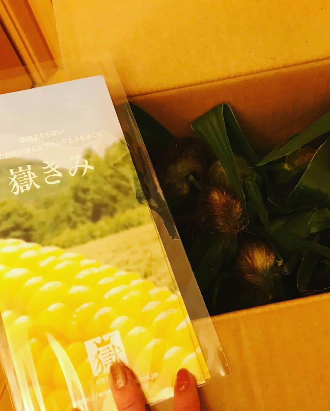 小川麻琴さんのインスタグラム写真 - (小川麻琴Instagram)「昨日、青森から届いた「嶽きみ」というトウモロコシ。 早速、大量に茹でて食べたのですが、、、もうね感動の美味しさ😍 すっごく甘くてジューシーで、こんなトウモロコシ食べたの初めてです☺️💕 #青森から  #嶽きみ  #トウモロコシ  #最高」8月30日 21時51分 - 1029_makoto
