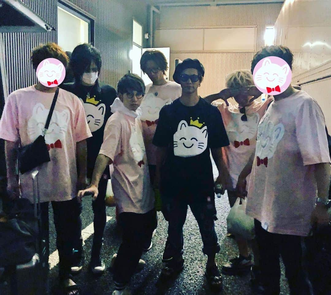 なるせさんのインスタグラム写真 - (なるせInstagram)「名古屋のライブで、後ろを見たらねこがうじゃうじゃいたので撮らせてもらいました やさしい仲間がたくさんでありがたい限りです この写真はシュールでおもろい写真です」8月30日 21時55分 - nqrse