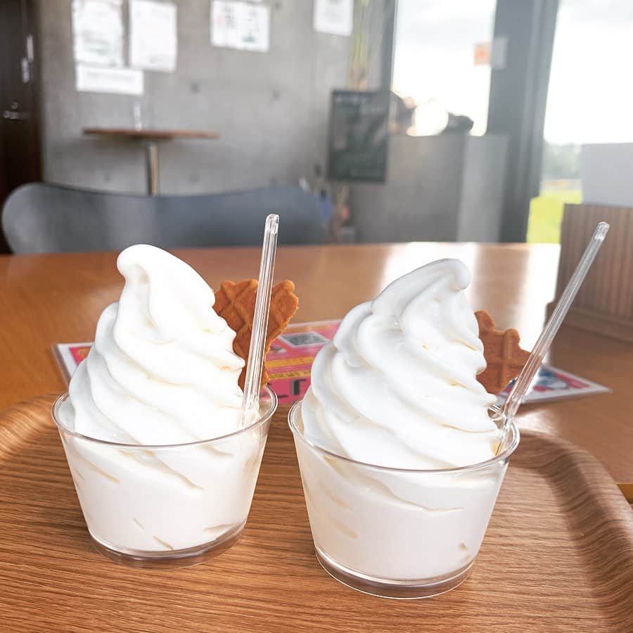 東李苑のグルメインスタ