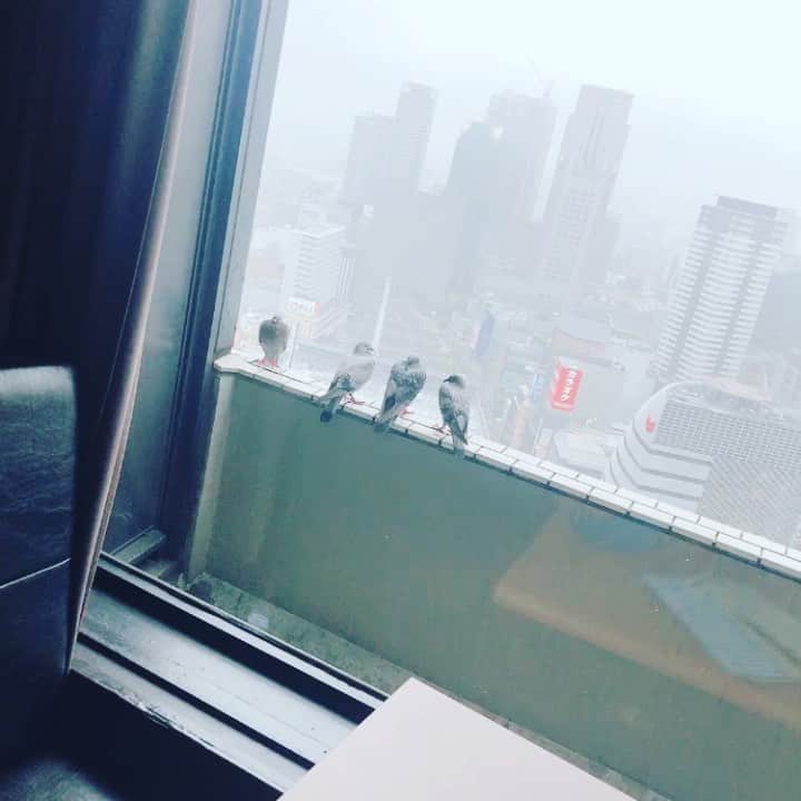 sdiningのグルメインスタ