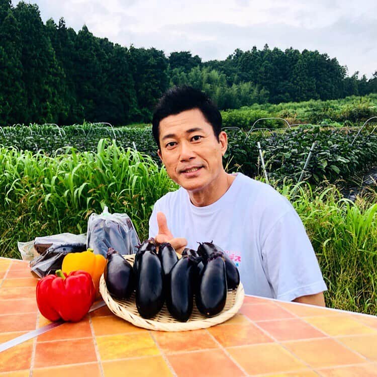 逸見太郎のインスタグラム：「今が旬のなす🍆  #ヨジデス#金曜中継#長茄子#くろべえ #朝採れ#郡山市#西田町 (にしたまち)  #ja農産物直売所#愛情館 #ふくしま#kfb  本番前に雨あがったぁ✌️ 輪切りにしたくろべえをフライパンに油をしき両面をさっと焼いて すりおろしたニンニク＋醤油で頂いたのが驚きの美味しさでした😋  ヨジデスまた来週👍」