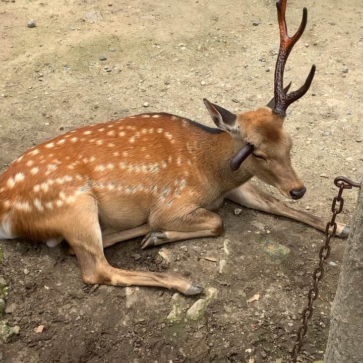 馬場皐輔のインスタグラム
