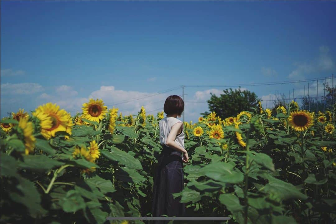 山本真由美さんのインスタグラム写真 - (山本真由美Instagram)「. ☁️ 𓋜 🌻 . . . 晩夏ぁ . . #夏  #山梨 #summer #seeya #leave  #camera #nature #photography  #2019 #travel #サヨナラ #last #trip #japan  #長閑 #一眼レフ #明野ひまわり畑  #向日葵 #寄り道 #yellow #likeforfollow  #ひまわり #山梨 #japan #yamanashi #traveling #likeforlikes #botanical #awesome #花 #sunflower #flower」8月30日 23時47分 - mayumi_yamamoto.official