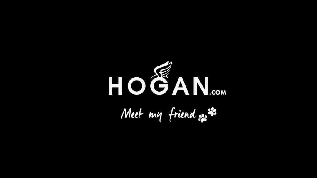 のインスタグラム：「Pitter patter of paws with the #HOGAN women's #AW1920 Maxi #H222 and H222 #sneakers Shop #HoganSneakers on HOGAN.COM - link in bio」