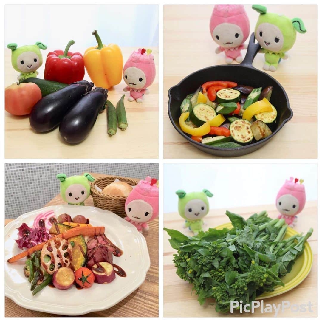 モーリーズのインスタグラム：「#野菜の日 ってことで写真集めてみたー！ だけどぼくが写ってなーい！どゆこと？？ 今度は一瞬に連れてってね！^_^ . #モーリーズ #moories  #ダイナム #かわいい #kawaii #cute #ゆるキャラ #ご当地キャラ #キャラクター #follow #ぬい撮り #stuffedtoy #instagood #マスコット #木の妖精 #モリスケ」