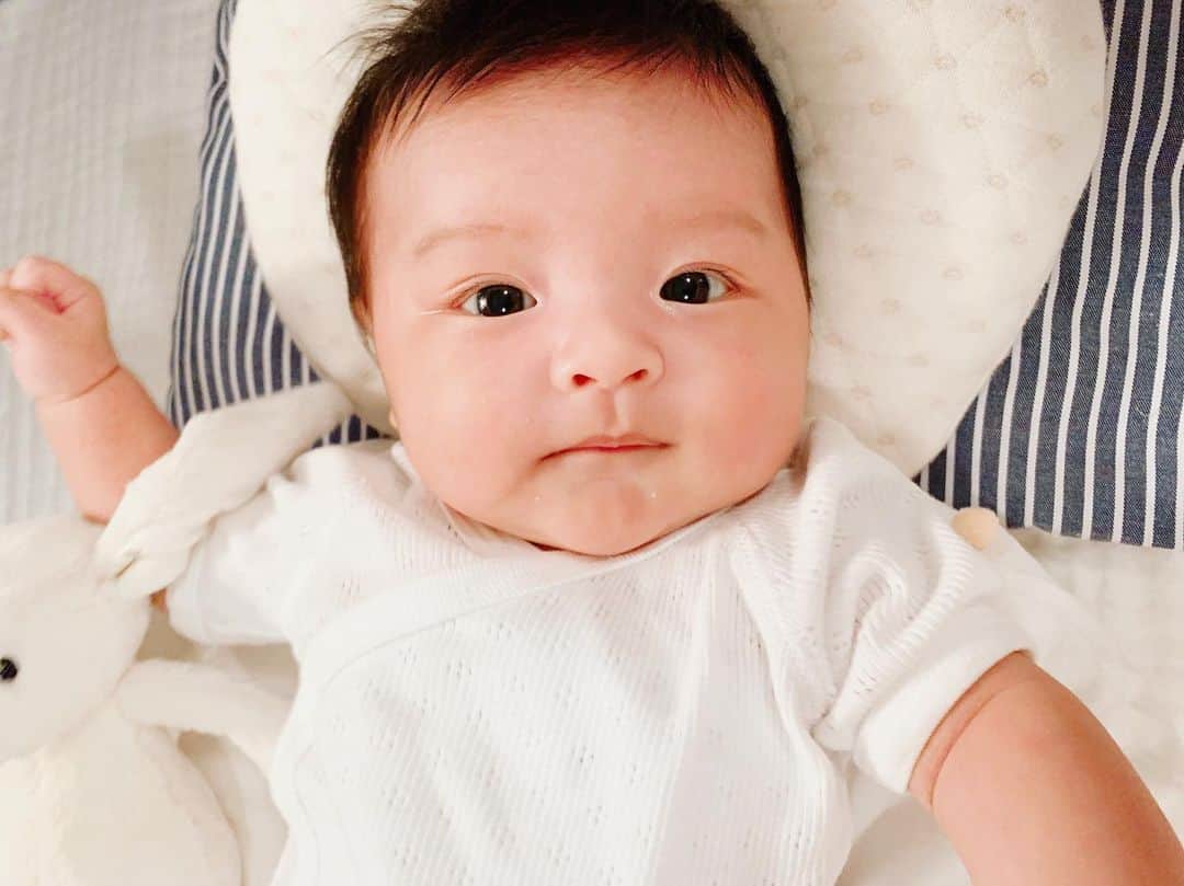 小濱なつきのインスタグラム：「🐰💛」
