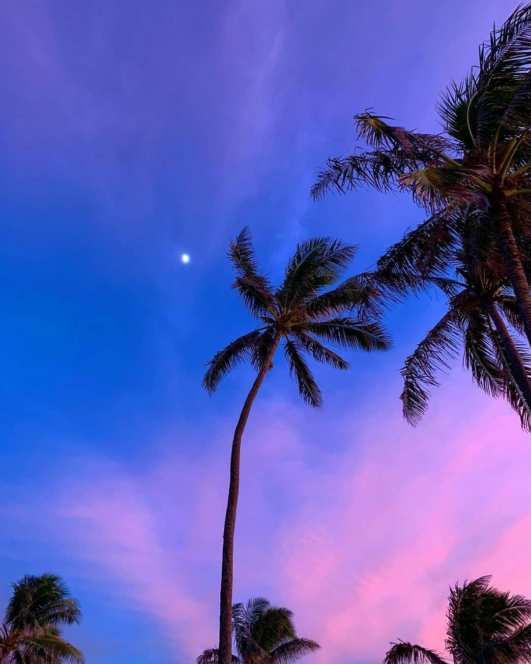 リア・ミシェルさんのインスタグラム写真 - (リア・ミシェルInstagram)「🌙」8月31日 11時10分 - leamichele