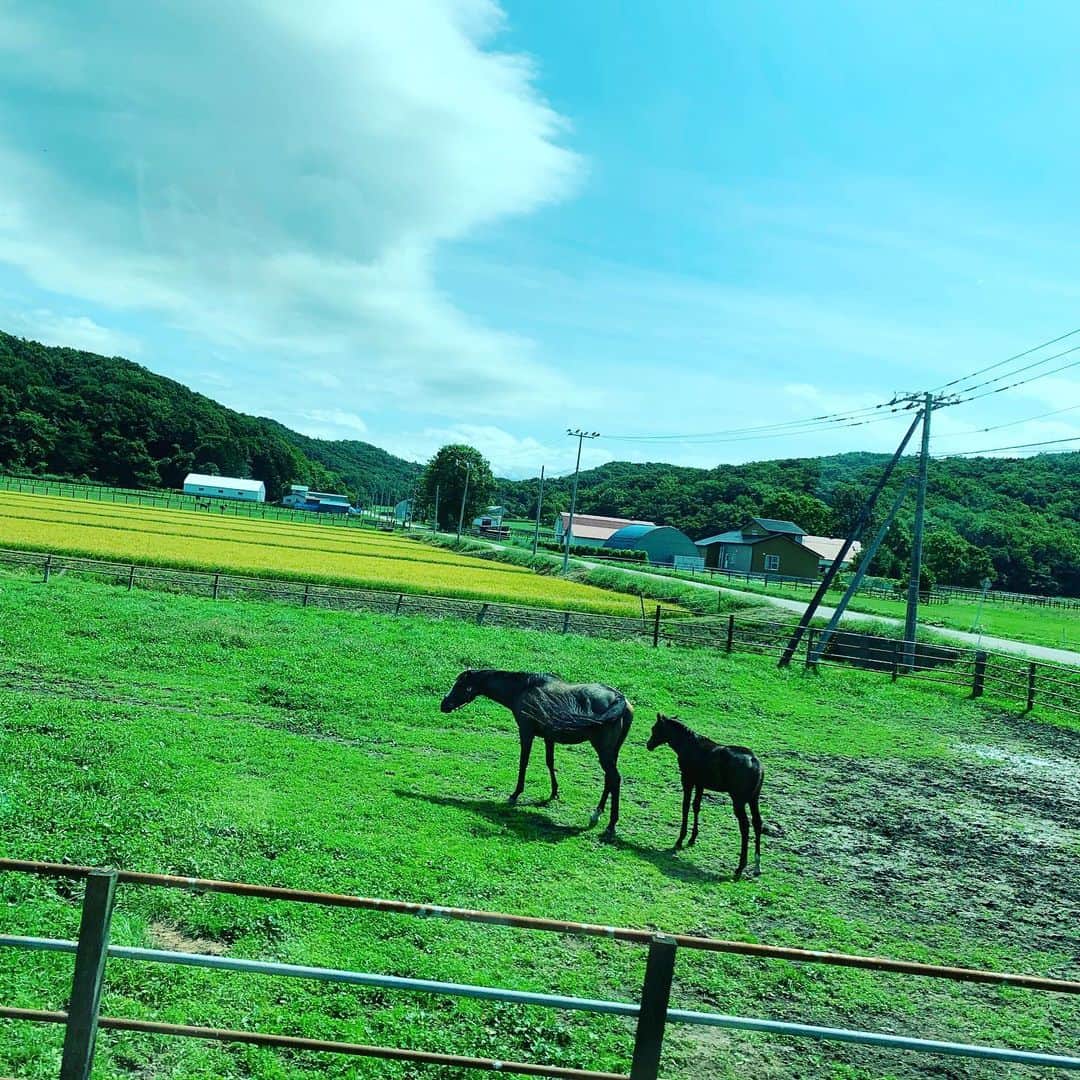 狩野英孝さんのインスタグラム写真 - (狩野英孝Instagram)「北海道到着。普通に馬がいるし。 のどかだなぁ。。」8月31日 11時12分 - kano9x