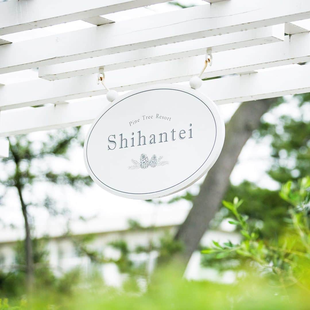 指帆亭のグルメインスタ