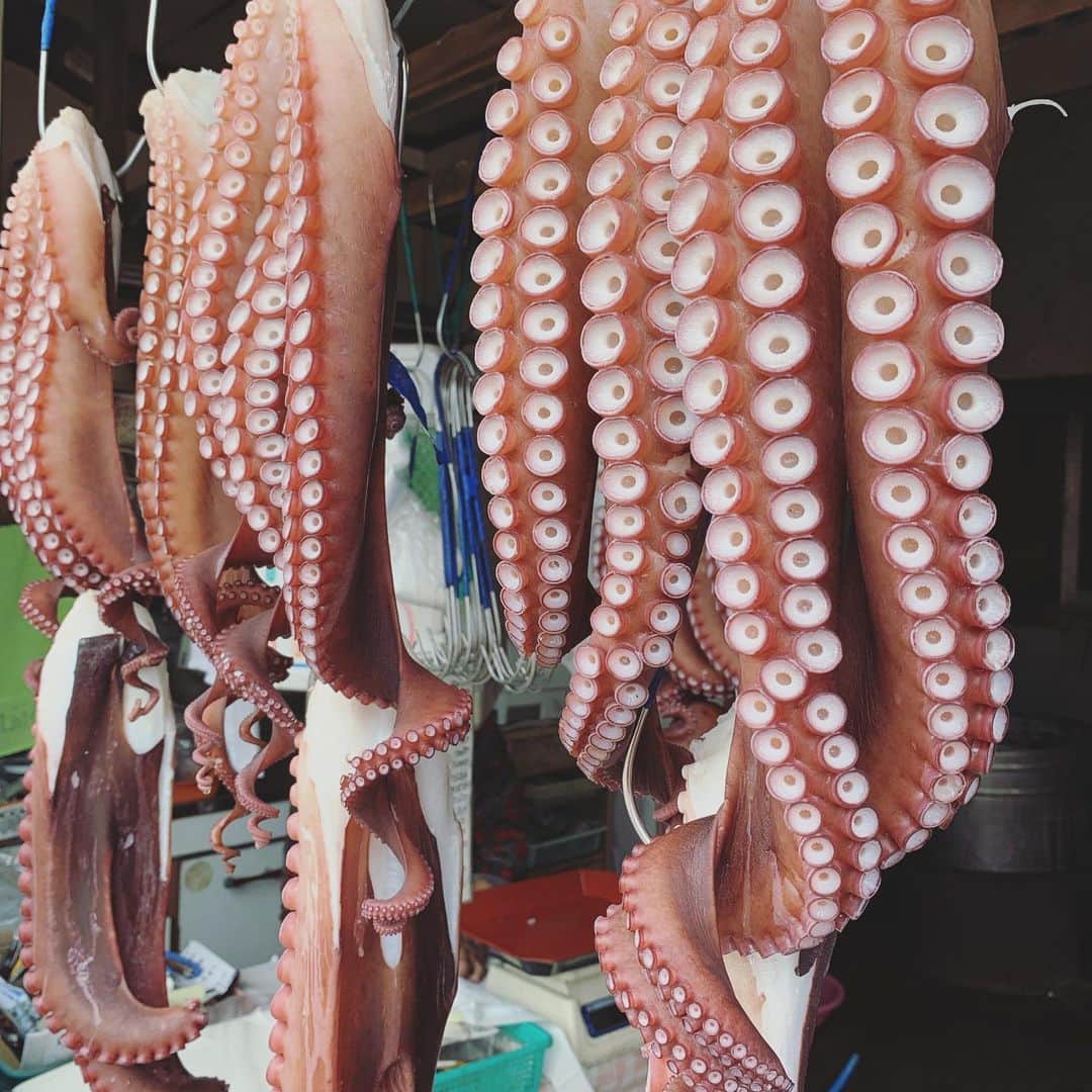 相川七瀬さんのインスタグラム写真 - (相川七瀬Instagram)「移動途中で出会った小平という 蛸の有名な場所。 茹で蛸を頂いて美味しい🤣」8月31日 11時26分 - nanasecat