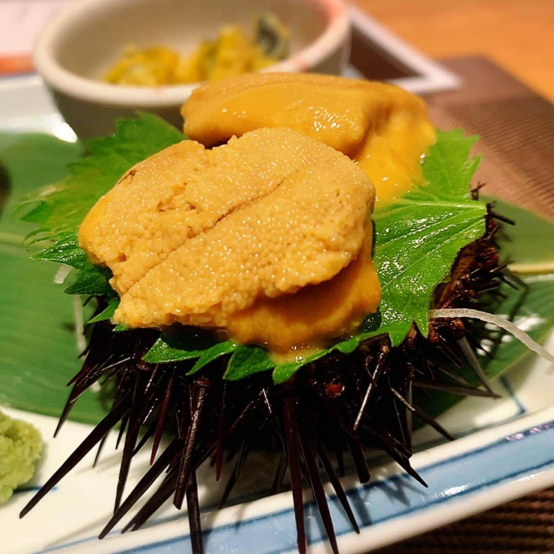 横山みれいさんのインスタグラム写真 - (横山みれいInstagram)「昨日はうにづくしのお店に連れて行っていただきました😊 生ウニから、ウニのてんぷら、うにのしゃぶしゃぶまで！！ ガッツリうにを堪能しました〜∩^ω^∩ ご馳走さまでした😊」8月31日 11時41分 - mireichan66