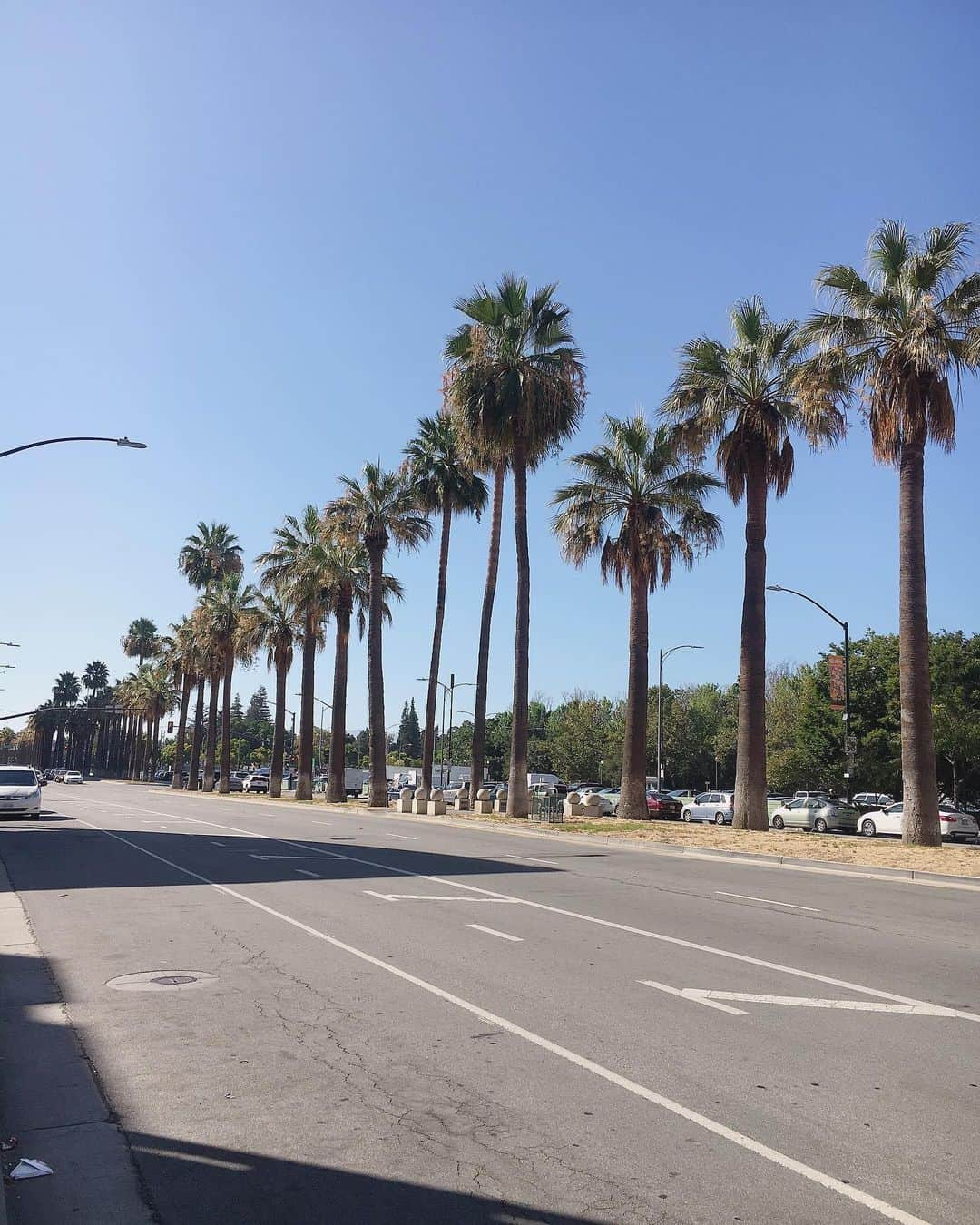 田野アサミさんのインスタグラム写真 - (田野アサミInstagram)「San Francisco🌴🧡。 サンフランシスコーーー！San Jose！！ 街並みが凄く好き。 サンフランシスコガール✨🇺🇸 #サンフランシスコ#SanFrancisco #crunchyroll#田野アサミ#tanoasami ケイティペリー聞いちゃう。笑」8月31日 2時48分 - tano_asami