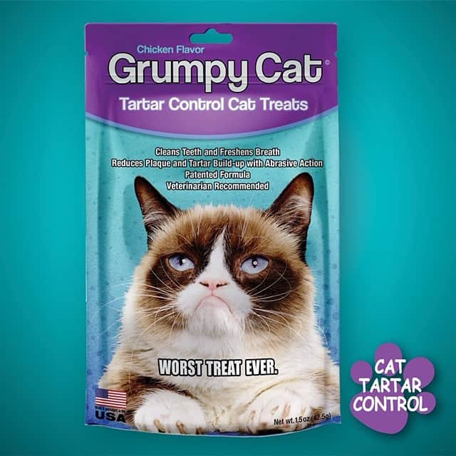 Grumpy Catさんのインスタグラム写真 - (Grumpy CatInstagram)「One year in the making... Grumpy Cat Tartar Control Treats for Cats! Made in the USA & available now @chewy!  https://www.chewy.com/grumpy-cat-treats-tartar-control/dp/213438 (Link in bio) #GrumpyCatForever @teamtreatz #cats #cat #catsofinstagram」8月31日 4時37分 - realgrumpycat