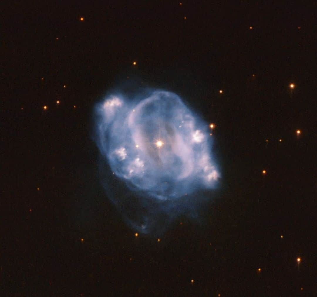 NASAさんのインスタグラム写真 - (NASAInstagram)「This image from NASA's Hubble Space Telescope shows NGC 5307, a planetary nebula that lies about 10,000 light-years from Earth. It can be seen in the constellation Centaurus (the Centaur) in the southern hemisphere.  A planetary nebula is the final stage of a Sun-like star. As such, planetary nebulas allow us a glimpse into the future of our own solar system. At the end of its life, a star like our Sun will transform into a red giant. Stars are sustained by the nuclear fusion that occurs in their core, which creates energy. The nuclear fusion processes constantly try to rip the star apart. Only the gravity of the star prevents this from happening.  At the end of the red giant phase of a star, these forces become unbalanced. Without enough energy created by fusion, the core of the star collapses in on itself, while the surface layers are ejected outward. After that, all that remains of the star is what we see here: glowing outer layers surrounding a white dwarf star, the remnants of the red giant star’s core.  This isn’t the end of this star’s evolution though — those outer layers are still moving and cooling. In just a few thousand years they will have dissipated, and all that will be left to see is the dimly glowing white dwarf.  Text credit: European Space Agency (ESA) Image credit: ESA/Hubble & NASA, R. Wade et al. #space #Hubble #nebula #Centaur #universe #whitedwarf」8月31日 5時00分 - nasagoddard