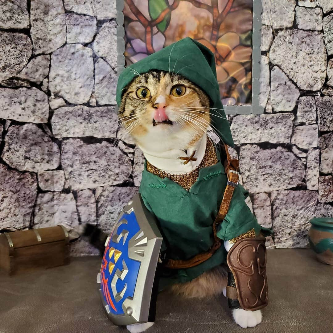 猫コスプレさんのインスタグラム写真 - (猫コスプレInstagram)「No longer at the Anex at PAX. If you are looking for us shoot us a message. We're adventuring!. #PAXWest #LegendofZelda」8月31日 5時25分 - cat_cosplay