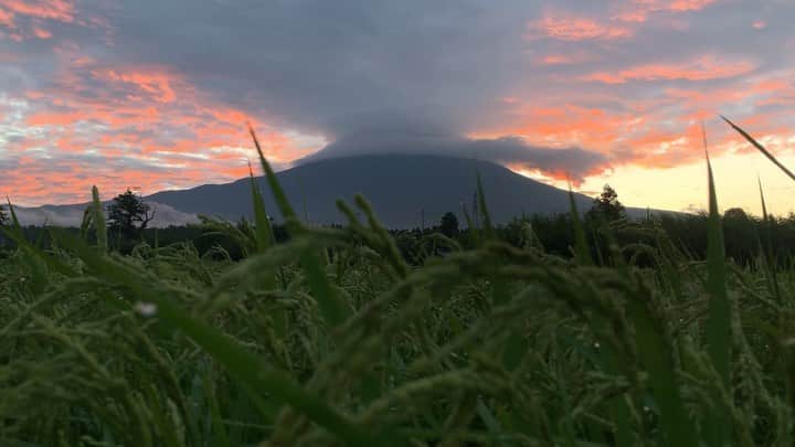 phantastic420のインスタグラム：「. 🤩🤩“Shizuoka” prefecture in Japan is a place where you can see the most “phantastic” Mt. Fuji🗻 in the world.🤩 #富士山 #mtfuji #japan #shizuoka #fujinomiya  #phantastic420photography #mostphantasticmtfuji #selamatpagi  #goodmorning  #おはようございます 😇😇😇😇😇😇😇🗻😇😇」