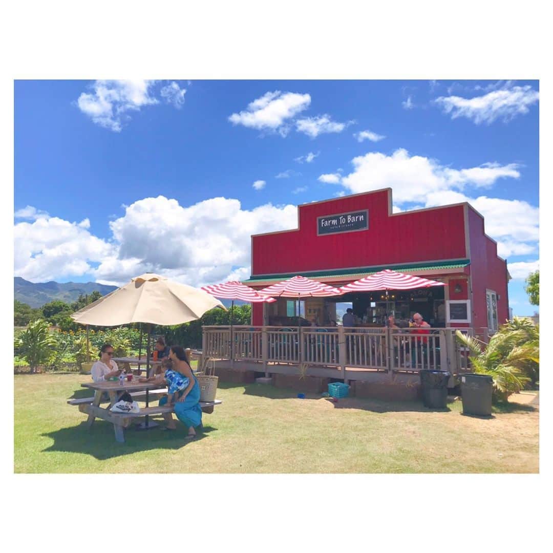 荒川れん子のインスタグラム：「Feel hawaiian breeze✨ @farmtobarncafe  さっきのビーツポケ丼はこちら。農家の皆さんが運営・協力しているカフェ。のんびりしていて身体にいいものが食べられて、本当に気持ちいいところ😍 このオープンな空間は、わざわざノースまで行きたくなるのです。 . . #hawaii #northshore #aloha #lovehawaii #vegan #vegetarian #luckywelivehawaii #hawaiilife #organic #cafe #travel #foodie #lifeisajourney #lunch #beet #hawaiistagram #instahawaii #ハワイ #オアフ #ハワイ生活 #ハワイ暮らし #旅 #ハワイ好き #ハワイ旅行 #オーガニック #カフェ #ランチ #青空 #ビーツ #貧血」