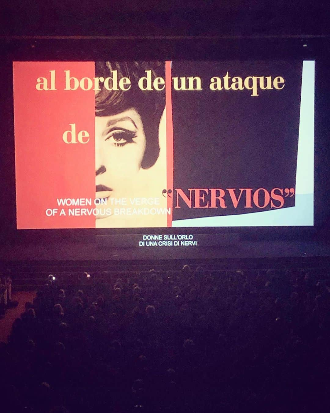 デレク・ブラスバーグさんのインスタグラム写真 - (デレク・ブラスバーグInstagram)「Way back in sixth grade, we had to decide between taking Spanish and French lessons. An upperclassman told me if I took Español the teacher would show us some insane movie about a crazy Spanish actress who roofies some sexy people (Antonio Banderas! Rossy de Palma!) in her apartment and then interrupts a terrorist shootout at the Madrid airport. That movie was Pedro Almodovar's “Mujeres al borde de un ataque de nervios” ("Women on the Verge of a Nervous Breakdown"), which was originally released in 1988. (I wasn't in middle school yet, for the record!) I studied Spanish for the next nine years and, sadly, to this day I can barely order at Taco Bell. However, from that moment, I became a lifelong Almodovar fan. It was such a thrill to be in the audience when he accepted the Golden Lion Lifetime Achievement award at the Venice Film Festival, and they even re-screened that movie on the big screen! I'd like to thank my high teacher Ms. Marciukaitis for introducing me to a Spanish cinema icon, even if I could never roll my R's.」8月31日 6時27分 - derekblasberg