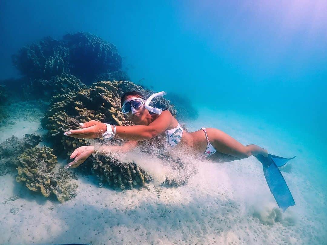 のインスタグラム：「🌴八重山諸島🌴  宮古ブルーとはまた違う美しさがここにもありました。  私の夢でもあるサメ🦈に出会うことができて恋に落ちたこの日は記念日❤︎ . たくさんのサメに囲まれてランデヴーしたい。  #phot  @koya.okinawasurf_kahooishigaki . .  #japan_daytime_view#instagramjapan#okinawa#miyakoisland#earth_shotz#japan_of_insta#oceanview#skindiving#freediving#divermag#シュノーケル#スキンダイビング#水中ワイド#石垣島#幻の島#バラス島#浜島#三石#沖縄#離島#八重山諸島#水中写真#roxylife#roxyjapan #島暮らし#宮古島ヨガリトリート#宮古島サップヨガリトリート」