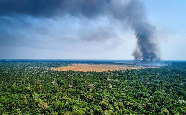 レオナルド・ディカプリオさんのインスタグラム写真 - (レオナルド・ディカプリオInstagram)「#Regram #RG @uesleimarcelinooficial #amazonia #amazon #fire #desmatamento #sosamazonia #nature #prayforamazonia」8月31日 6時57分 - leonardodicaprio