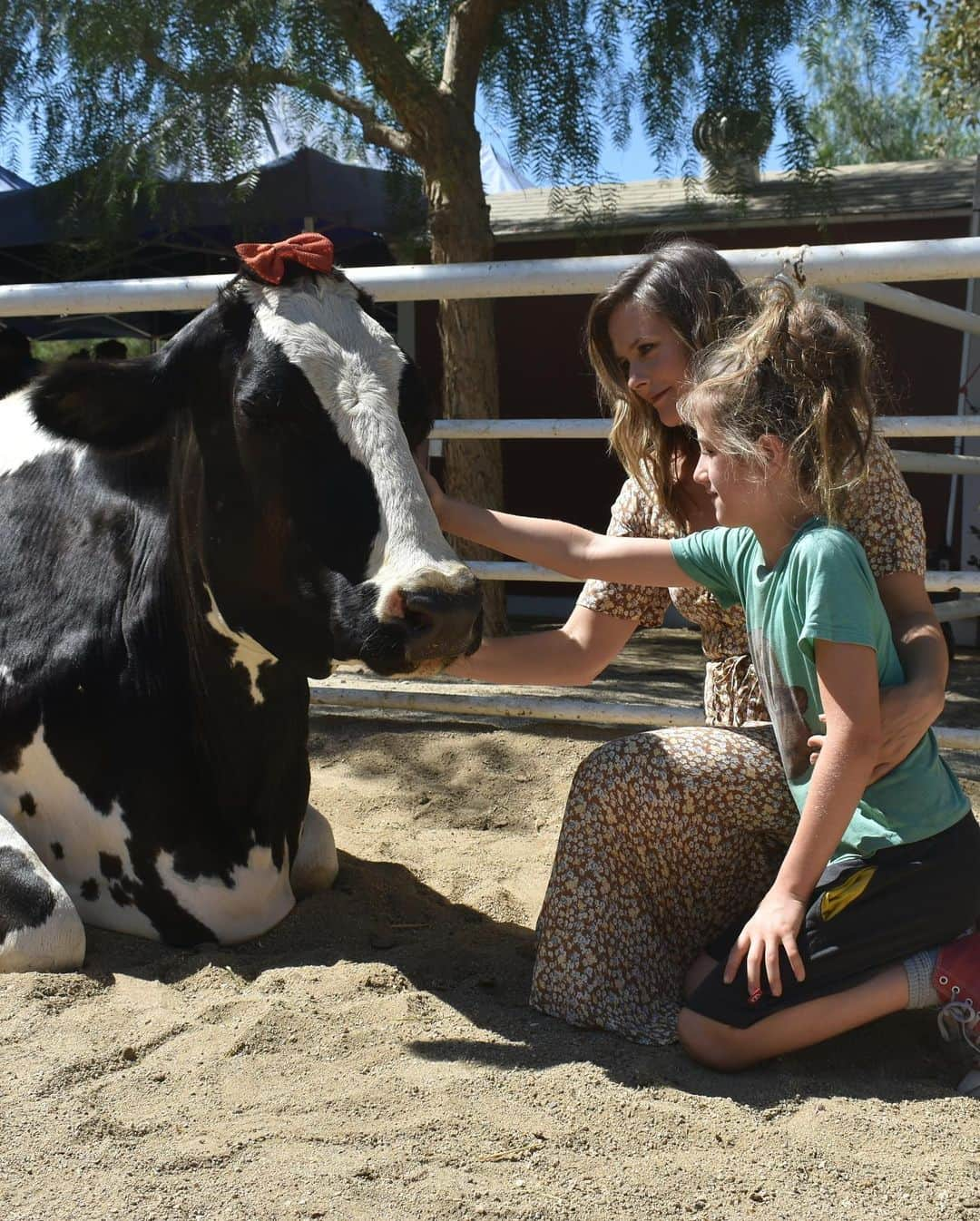 アリシア・シルヴァーストーンさんのインスタグラム写真 - (アリシア・シルヴァーストーンInstagram)「I've been visiting @thegentlebarn for 20 years, even when it was in the back of @ellielaks house. I had my 25th birthday there! Bear and I love #thegentlebarn and wish everyone could go to sanctuaries like this one. It just so happens that @crystaldeodorant is also something that I have been using for over 20 years. I chose Crystal because I wanted something that was natural, that didn’t have any chemicals in it, that was vegan and that worked. It was so wonderful celebrating @thegentlebarn and their 20th anniversary this past weekend with my friends from Crystal Deodorant.  I wish everyone was cruelty-free and conscious like these two organizations are!」8月31日 7時04分 - aliciasilverstone