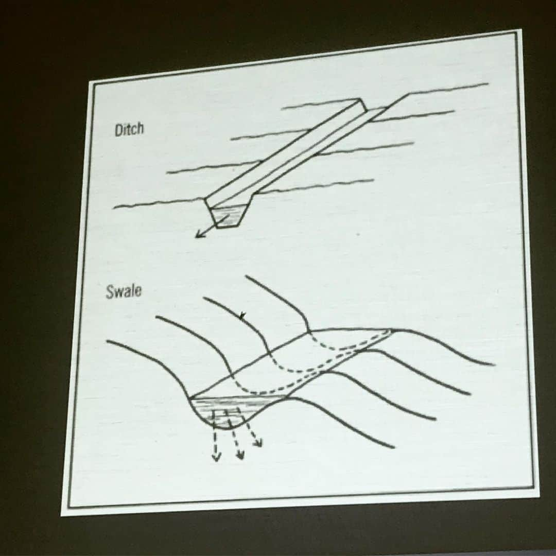三宅洋平さんのインスタグラム写真 - (三宅洋平Instagram)「環境から水をいずこへと流し去ってしまう溝(ditch)と、やんわりと土壌に染み込ませる小川(swale)の違い。 溝は井戸を枯らせる。 小川は井戸を復活させる。  #里山リペア #水路 #パーマカルチャー #マットビボウト學ブ #吉備中央町 #岡山 #japan」8月31日 8時10分 - miyake_yohei