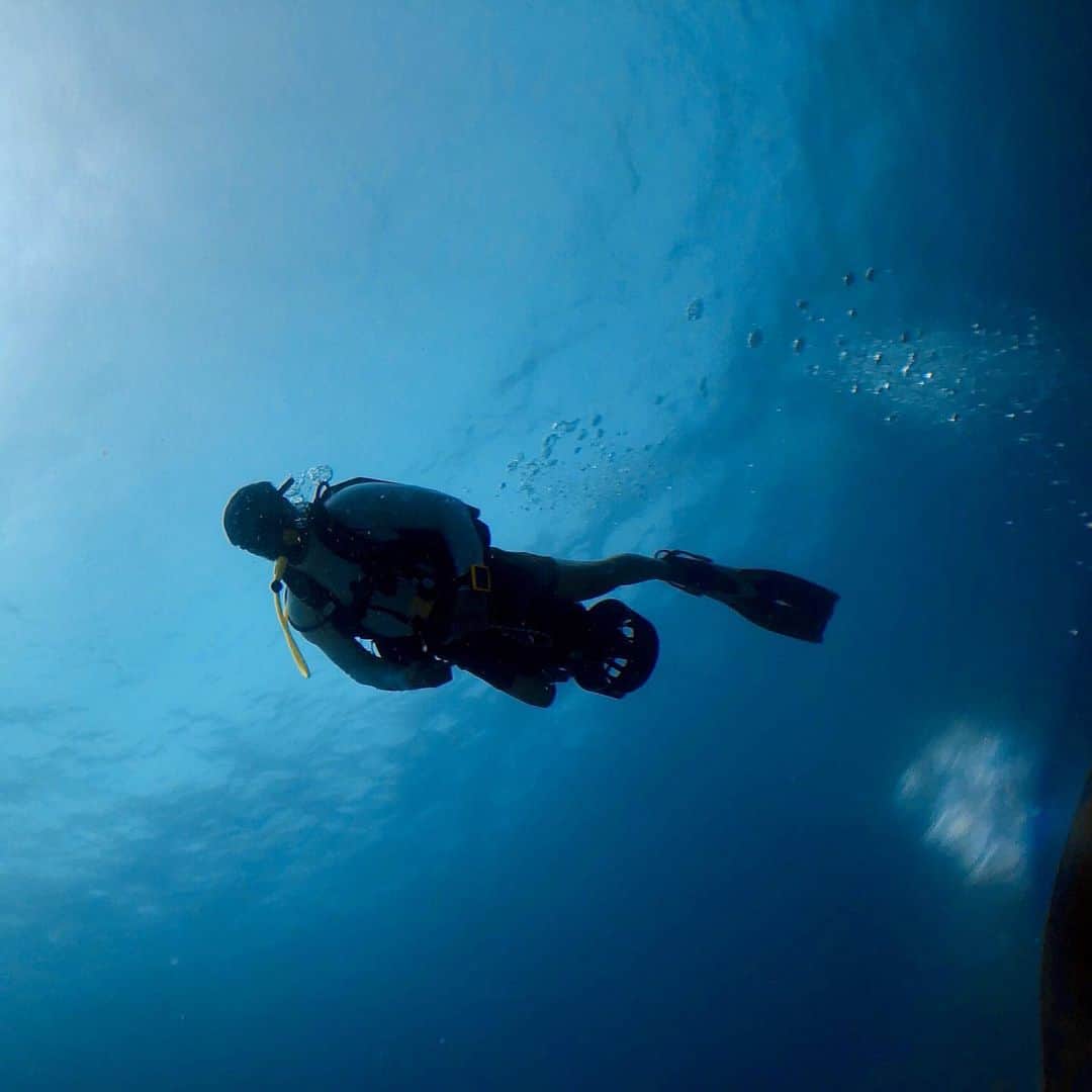 ジョン・ウエルタスさんのインスタグラム写真 - (ジョン・ウエルタスInstagram)「Nothing like flying #underwater - To view sharks at a cleaning station in the strongest #ocean currents, you feel like #jamesbond with this DPV strapped between your legs! Thanx @paditv & @prodiversmaldives for getting my proficiency up to speed! #100 #sharks @kindtraveler #travelkindly @hurawalhi #joninthemaldives」8月31日 8時54分 - jonhuertas