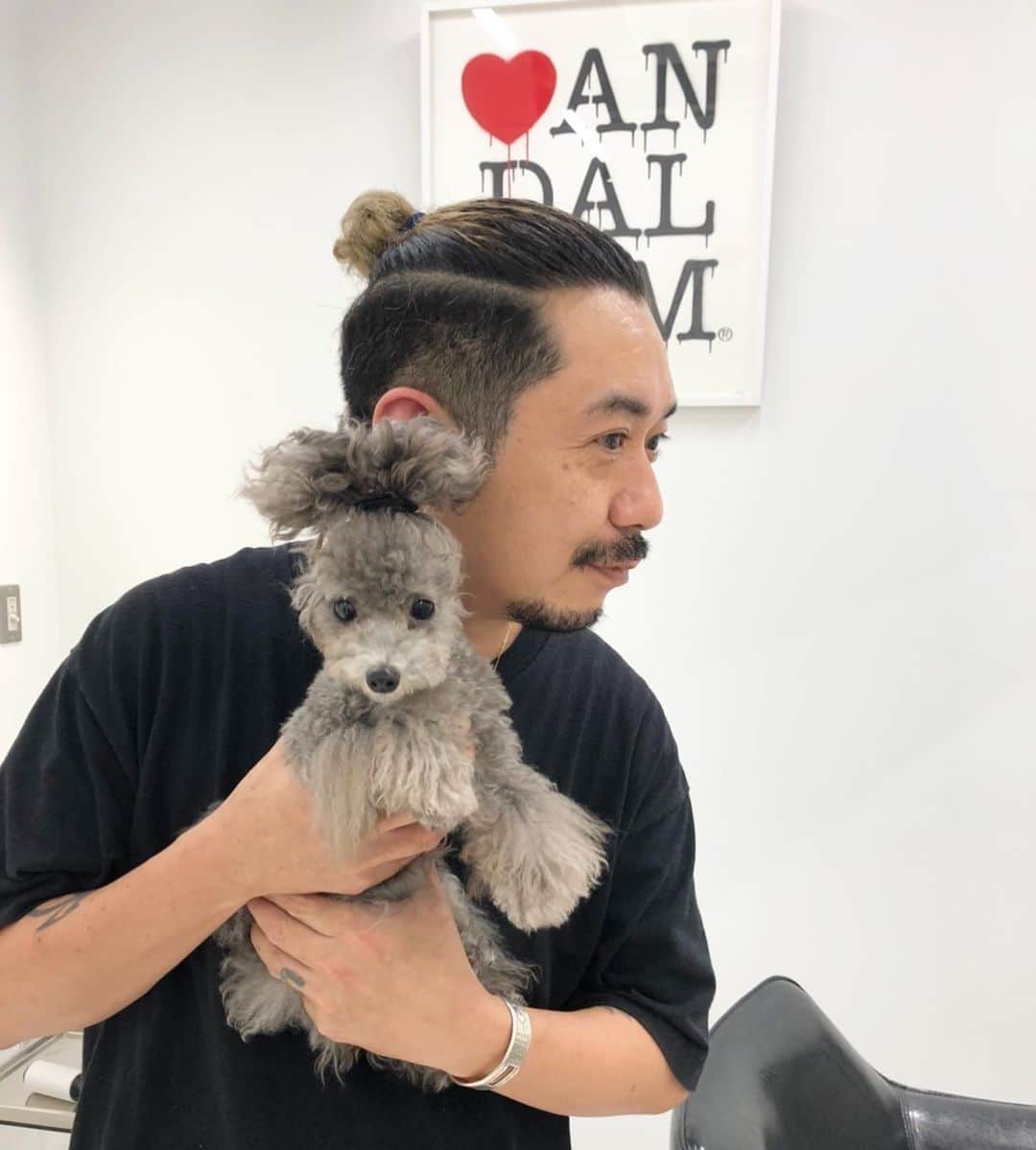 のインスタグラム：「同じヘアスタイル🐶❤️ * * * * * * * * * * #トイプードル#ヘアスタイル#お団子ヘア#dog#🐶#おかわ#可愛いワンちゃん#美容師#ヘアメイク」
