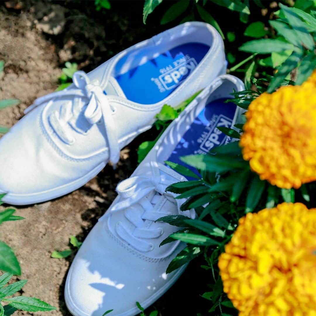 Keds Japanのインスタグラム：「Keds CHAMPION OXFORD CVO⁠ White / ¥4,500+tax⁠ ⁠ #Keds #ladiesfirst #kedsstyle #sneakers #whitesneakers #sneakerholics #casualoutfits #womanstyle #womanfashion #outfit #marigold #summerfashion⁠ #ケッズ #スニーカー #白スニーカー #👟」