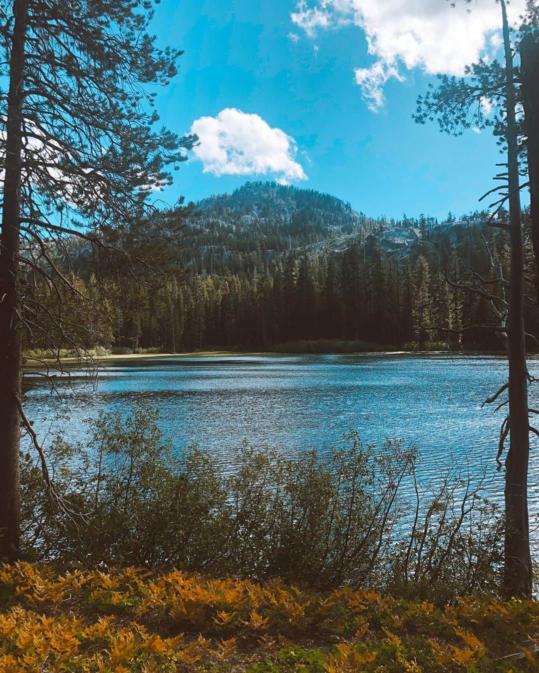 Daniella Graceさんのインスタグラム写真 - (Daniella GraceInstagram)「Got a little backpacking trip in through Deso before the snow starts falling again! 🏔 We ended up hiking 20 miles, stopped for a shower in Lake Genevieve, had a dance party in the woods, then ended the adventure in Meeks Bay. Even though I can’t feel my legs today my soul was in need of that.. 🙌🏼🌲」9月29日 7時18分 - daniellagrace