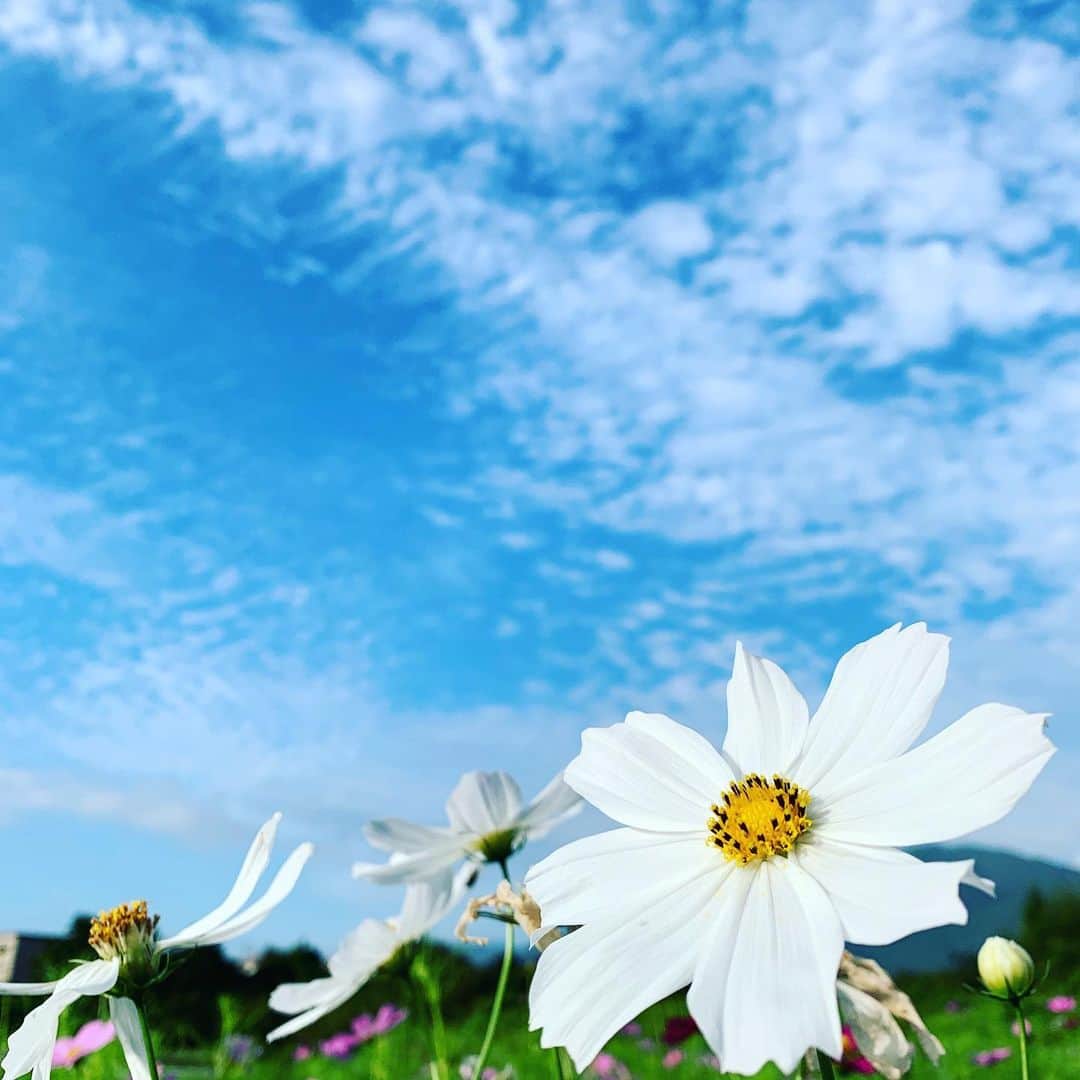 ノブ横地のインスタグラム：「今日の菰野は快晴！ドローン日和です。」