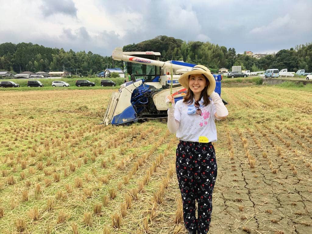 女子アナ47のインスタグラム：「. こんにちは、47発信プロジェクトです！本日は石飛香織アナウンサーが『刈っとーと？秋の訪れ 稲刈り体験記from 福岡』をお届けします！ . テレビ大分出身の石飛香織です。現在東京でフリーアナウンサーとして活動しています。 夏に行われた羽田マルシェでタグ付けはして頂いていますが、自身のブログ記事投稿は初めてです。 長野⇒宮崎⇒佐賀⇒大分。局アナとして取材してきた大好きな地域の良さと”香り”をどんどんお届けします！これからよろしくお願いいたします。 まず今回は私の地元福岡で行われた”稲刈り体験”の様子をお届けします・・・・・・ . 続きはトップページのリンクから『47発信プロジェクト』へ！ . #47発信プロジェクト #アナウンサー #フリーアナウンサー #女子アナ #女子アナ47 #地方創生 #地方創生アナウンサー #マッチングサイト #マッチングサービス #47発信プロジェクト #石飛香織 #稲刈り #福岡」
