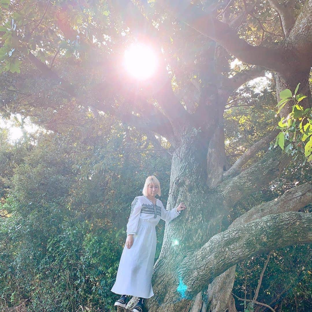 RYONRYON.さんのインスタグラム写真 - (RYONRYON.Instagram)「光」9月25日 16時48分 - ryon2r2