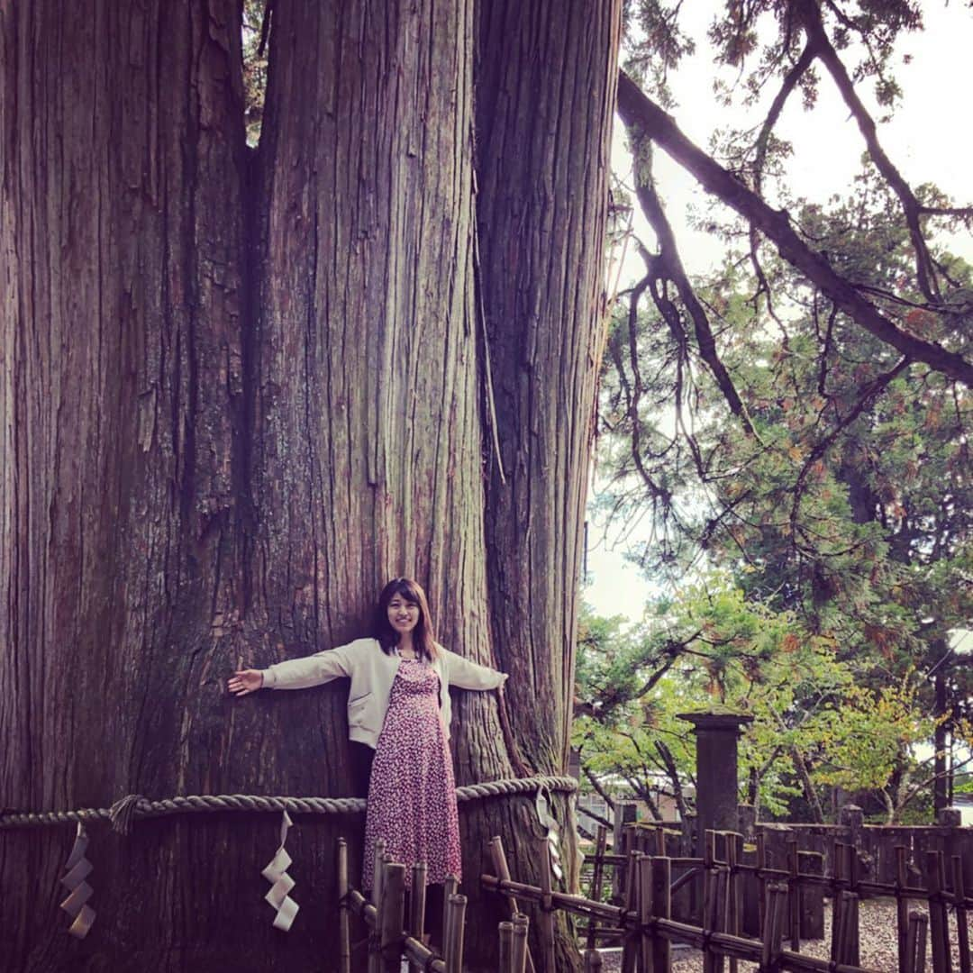 竹村優香さんのインスタグラム写真 - (竹村優香Instagram)「少し遅めの夏休みで長野旅🌿 戸隠では、たくさんの大きな杉の木が迎えてくれました！ 樹齢400年を超えていて、とてつもない生命力を感じました☺️✨ #戸隠 #長野 #フル充電 #あまりの居心地の良さに #急遽延泊決定 #trip #hugme」9月25日 9時51分 - yuka_tkmr