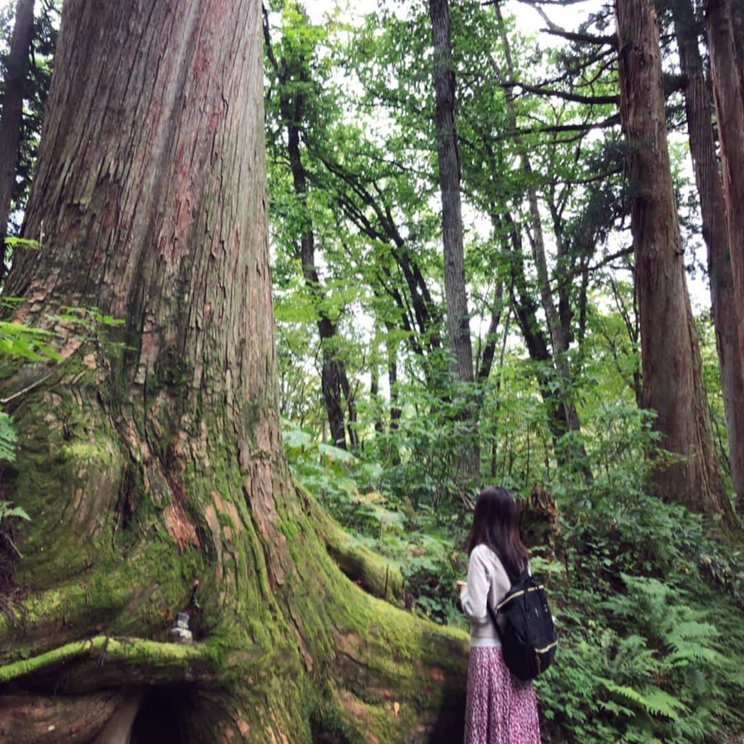 竹村優香さんのインスタグラム写真 - (竹村優香Instagram)「少し遅めの夏休みで長野旅🌿 戸隠では、たくさんの大きな杉の木が迎えてくれました！ 樹齢400年を超えていて、とてつもない生命力を感じました☺️✨ #戸隠 #長野 #フル充電 #あまりの居心地の良さに #急遽延泊決定 #trip #hugme」9月25日 9時51分 - yuka_tkmr