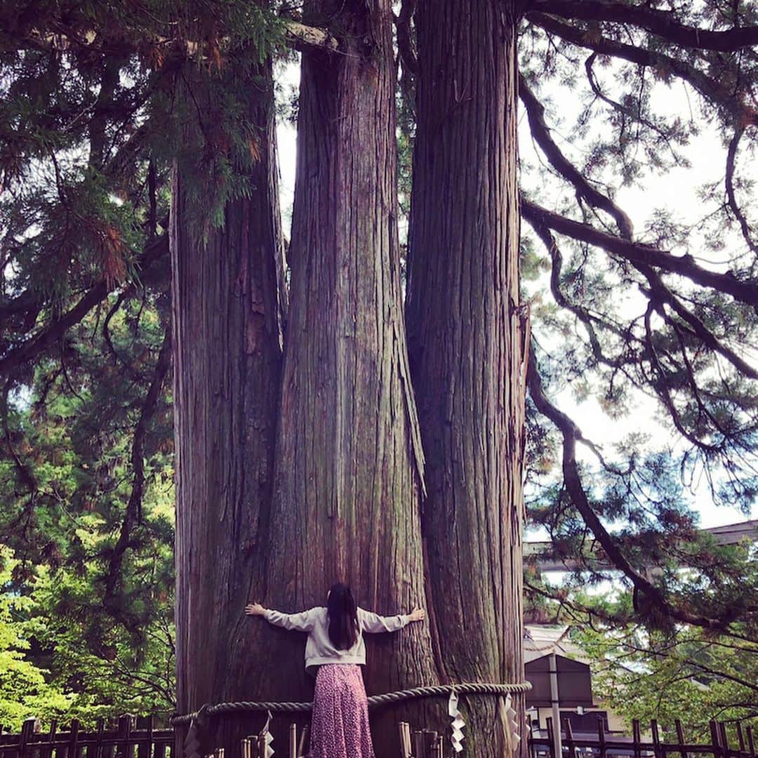 竹村優香さんのインスタグラム写真 - (竹村優香Instagram)「少し遅めの夏休みで長野旅🌿 戸隠では、たくさんの大きな杉の木が迎えてくれました！ 樹齢400年を超えていて、とてつもない生命力を感じました☺️✨ #戸隠 #長野 #フル充電 #あまりの居心地の良さに #急遽延泊決定 #trip #hugme」9月25日 9時51分 - yuka_tkmr