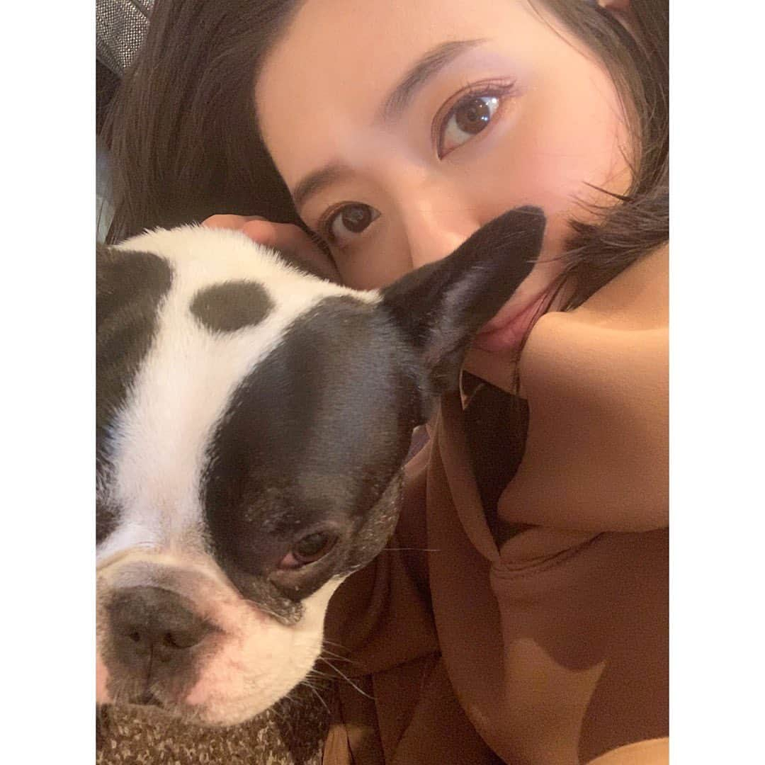 中田奈沙さんのインスタグラム写真 - (中田奈沙Instagram)「See you soon🥺❤️ 5泊6日のブリのお泊り終了😢 犬を飼うって大変なこともあるけど、 それ以上に得るものが大きい。 犬がいる生活は実家で20年くらい 経験してたけど、またそれとは 違う感覚でお世話してました🤗 預かっている間、遊んでくれた皆様 ありがとう🥰 会いそびれた方、ブリをレンタル しようね笑 * * #frenchbulldog #frenchie #dog #pet #buhi #instadog #dogstaram #me #friend #family #shorttrip #babysitter #cutie #フレンチブルドッグ #フレブル #犬 #ブヒ #お泊り #ベビーシッター #ペット #家族 #愛犬 #犬バカ部 #犬バカ #親バカ #いぬすたぐらむ #友達 #かわいい #ブサカワ」9月25日 10時16分 - nasa_nakada