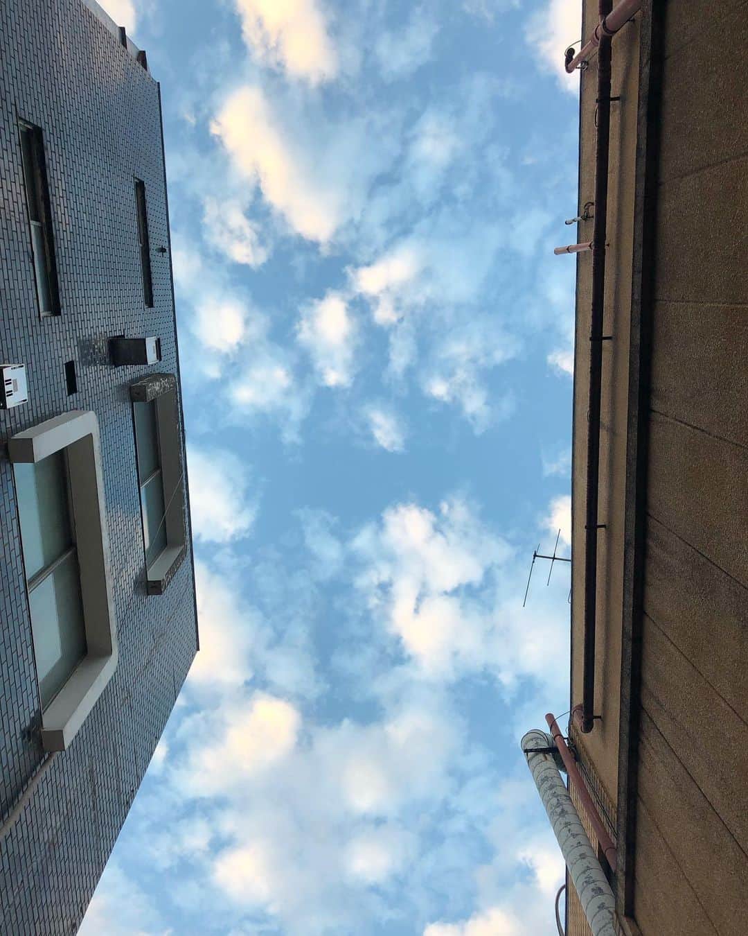 馬渕史香のインスタグラム：「昨日の雨上がり  って言っても、雨降ってる時はお店の中にいたから、全然気付かず😅」