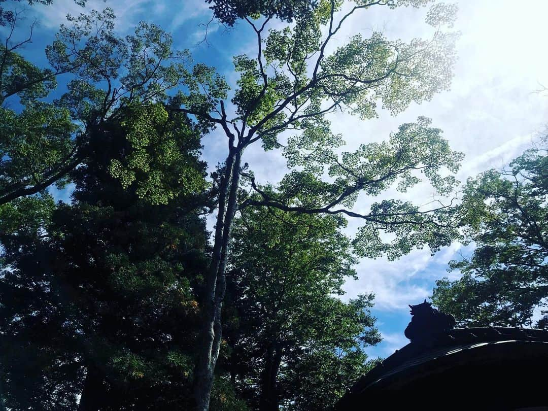 秋本祐希さんのインスタグラム写真 - (秋本祐希Instagram)「諏訪神社へご挨拶 浅野屋へパンを買いにお散歩して 清々しく気持ちのいい朝☺︎ #諏訪神社 #軽井沢 #gm」9月25日 11時01分 - ayuuki0908